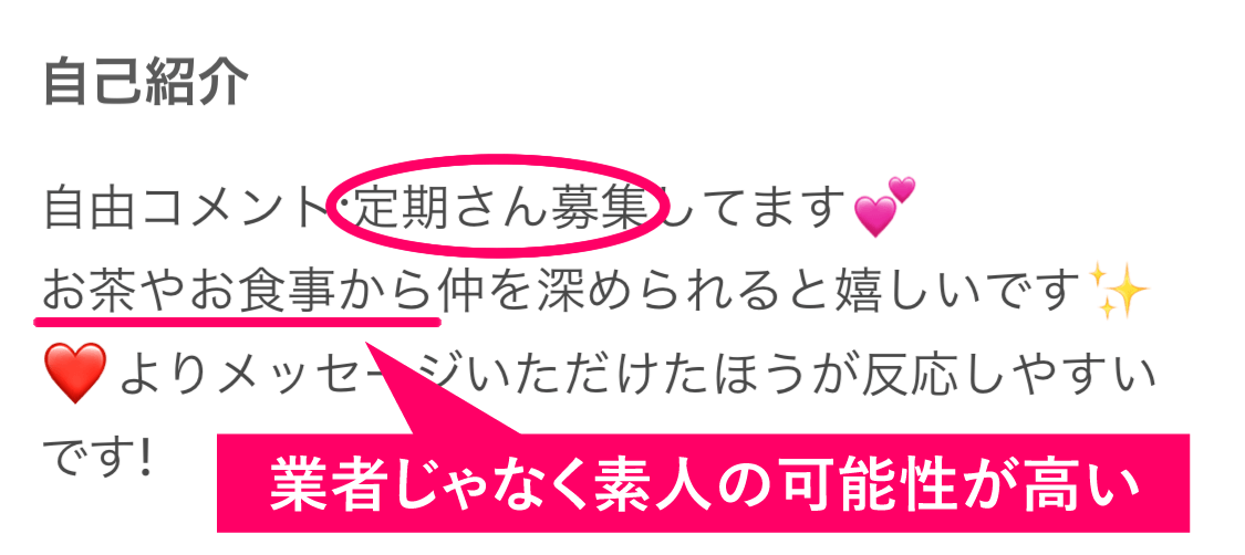 イククルで割り切りで即日出会えた女性のプロフィール内容