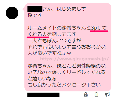 PCMAX(PCマックス)の業者から送られてきたメッセージの実例①-3